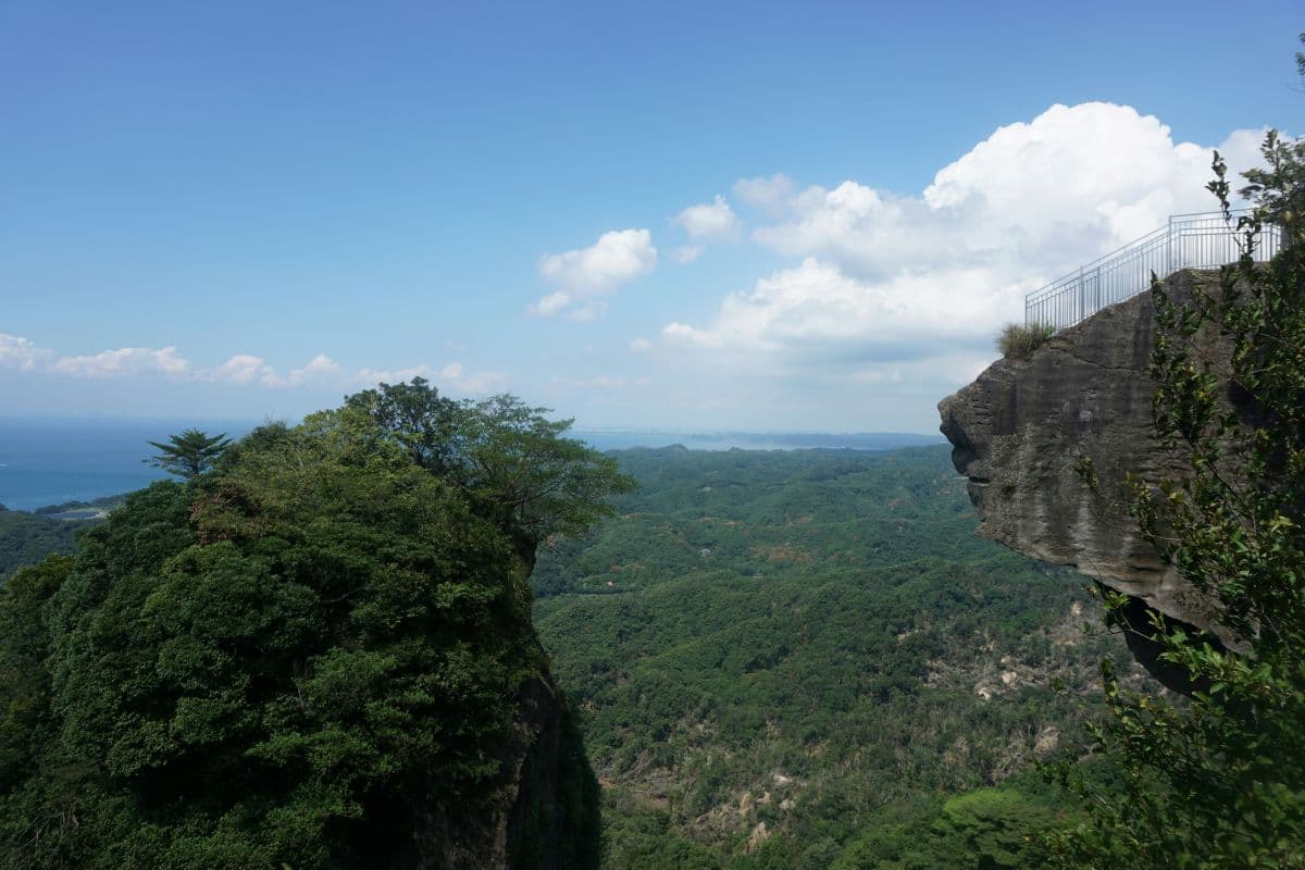 千葉県の伐採・抜根の様子